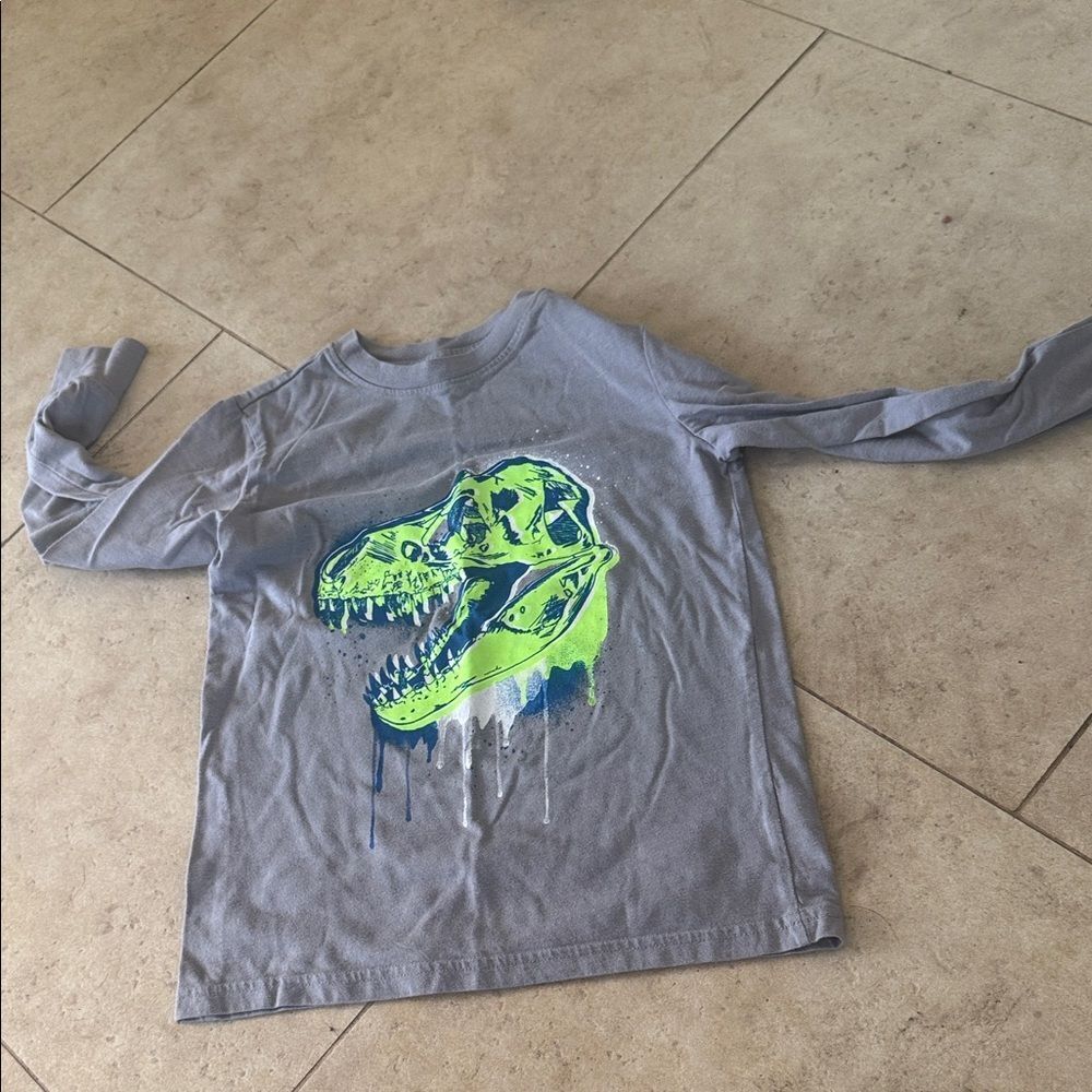 Gray Dinosaur Graphic Kids Shirt - Cat & Jack Long Sleeve Tee